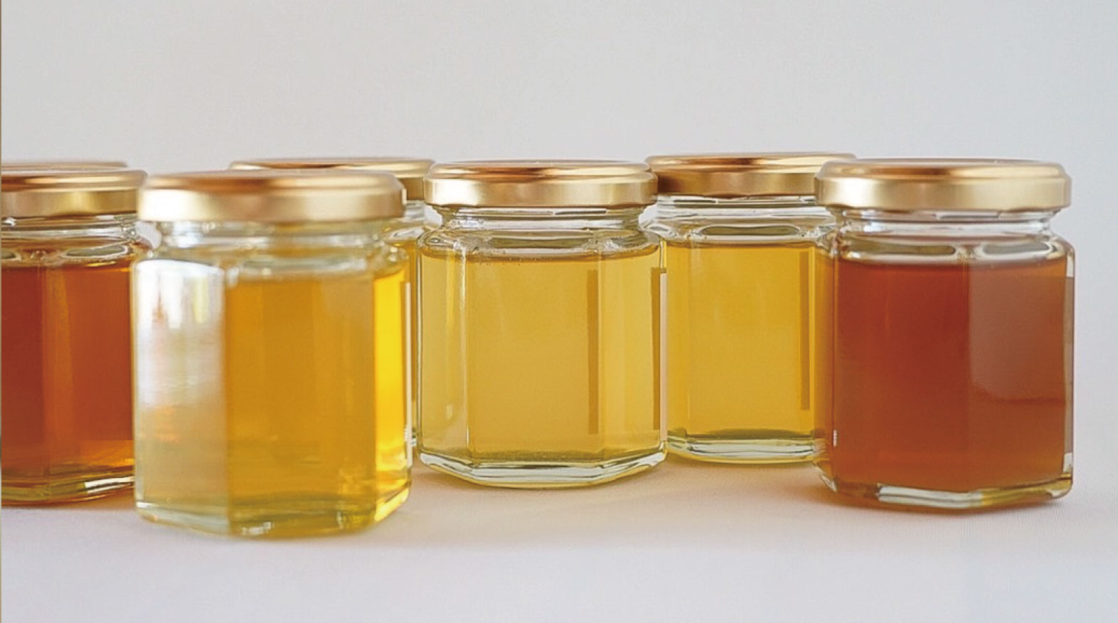 07 |草加コネクト |草加市のイベント情報