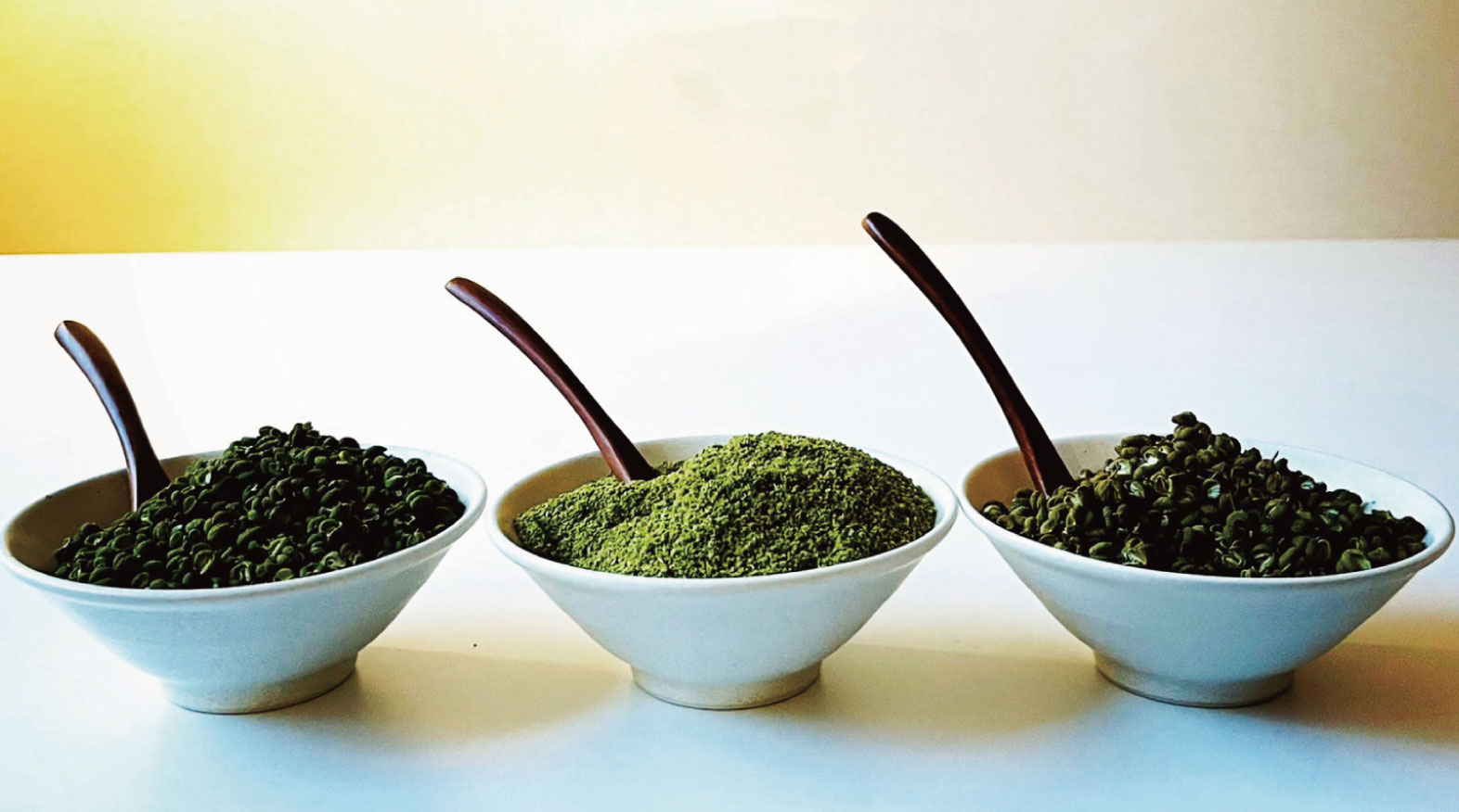 15 |草加コネクト |草加市のイベント情報