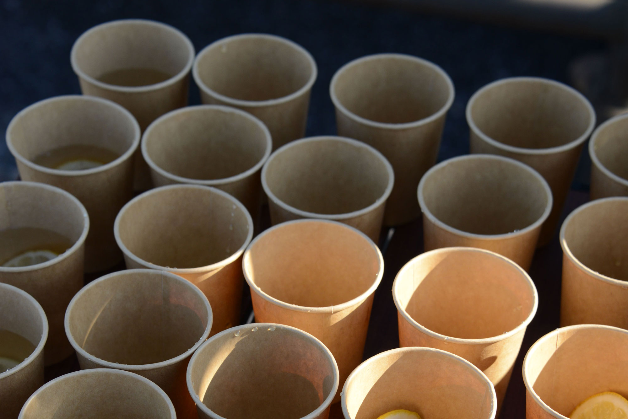 谷塚クリーンアップ Vol.12|ごみ拾いと焼き芋の交流タイム 3 DSC 4552 |草加コネクト |草加市のイベント情報