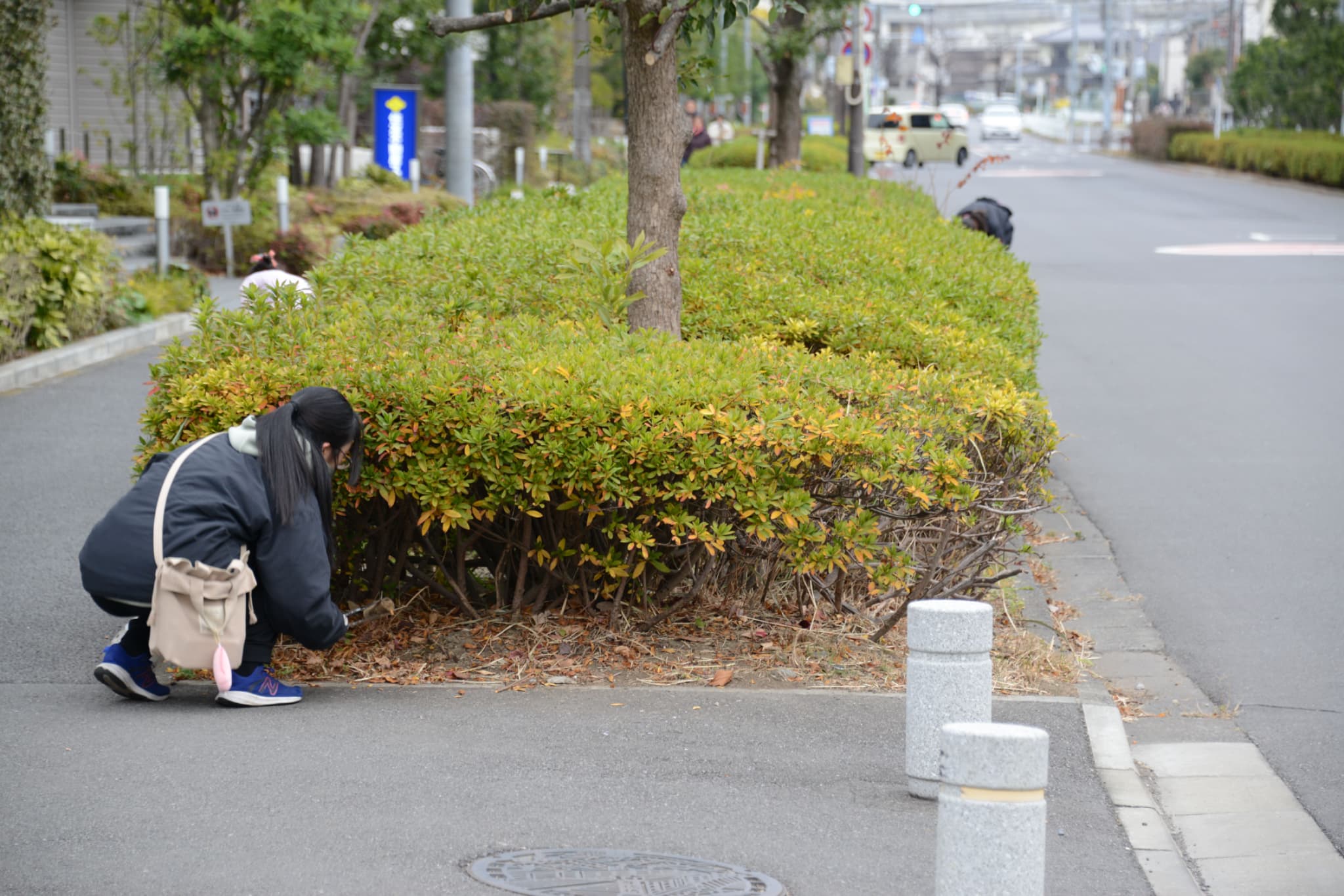 DSC 4714 |草加コネクト |草加市のイベント情報